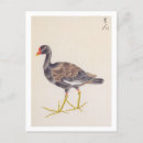 Recherche de dessin nature cartes postales Vintage