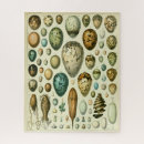 Recherche de sciences naturelles puzzles Illustration