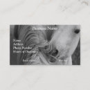 Zoek naar paarden fotografie Boerderij