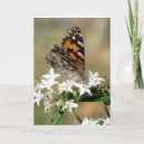 Zoek naar vlinder schilderen kaarten Bloem