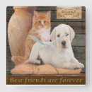 Recherche de kitsch horloges Mignon