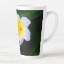 Zoek naar frangipani mokken Tropische bloemen