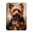 Recherche de terrier yorkshire magnets Portrait