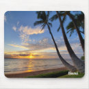 Recherche de palmiers coucher soleil tapis souris Île
