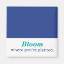 Recherche de plante fleurissant magnets Fleurs