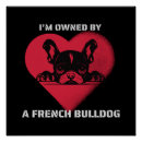 Recherche de bouledogue français posters Animal de compagnie