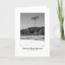 Recherche de île du sud vœux cartes Photographie