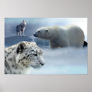 Recherche de snow leopard posters Pour tous