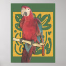 Recherche de perroquet vert posters Animaux