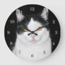 Recherche de chatons mignons horloges Anniversaire