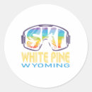 Recherche de sports de neige autocollants Alpin