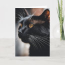 Recherche de humour chat noir Animal