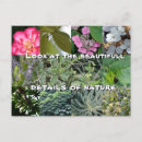 Recherche de citations meilleur ami cartes postales Toute personne
