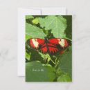 Recherche de papillons correspondances cartes Nature