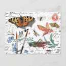 Zoek naar vintage insecten briefkaarten Vlinder