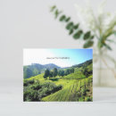 Zoek naar groene heuvels briefkaarten Landschap