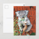 Zoek naar snacks briefkaarten Dieren