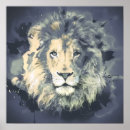 Recherche de lion king Sauvage