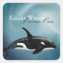 Recherche de orca autocollants Aquarelle