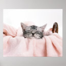 Recherche de minou mignon art Félin