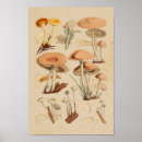 Recherche de variété art Vintage