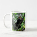 Recherche de mustelid tasses Animaux