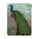 Recherche de oiseaux exotiques magnets Paon