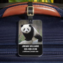 Recherche de chengdu accessoires Ours de panda