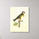 Recherche de aviaire art Animal