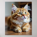 Recherche de animal mignon posters Photographe