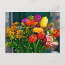 Recherche de bouquet de roses cartes postales Printemps