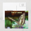 Zoek naar vlinder bloemen briefkaarten Insect