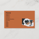Recherche de border collie cartes visite Colley