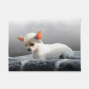 Recherche de chiwawa maison deco Portrait