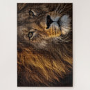Zoek naar leeuwen puzzels Wild