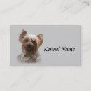 Recherche de chien yorkie cartes visite Yorkies