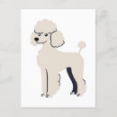 Zoek naar poodle briefkaarten Puppy