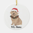 Zoek naar dachshund kerstdecoratie Wiener hond