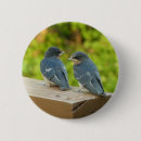 Recherche de hirondelle badges Nature