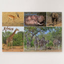 Zoek naar zebras puzzels Afrika