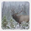 Recherche de paysage neige autocollants Faune