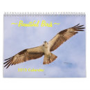Recherche de oiseau calendriers Faucons
