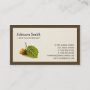 Recherche de nuts cartes visite Noix