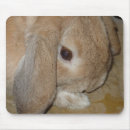 Recherche de nain électronique Animal