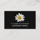 Recherche de marguerites cartes visite Fleuriste