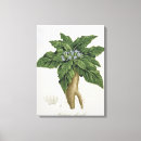 Recherche de toile de beaux art Arbres