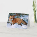 Recherche de renard dans la neige vœux cartes Boisé