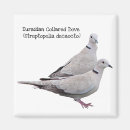 Recherche de eurasien Faune