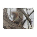 Zoek naar eekhoorn badmatten Knaagdier