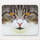 Recherche de oeil tigre tapis souris Animal